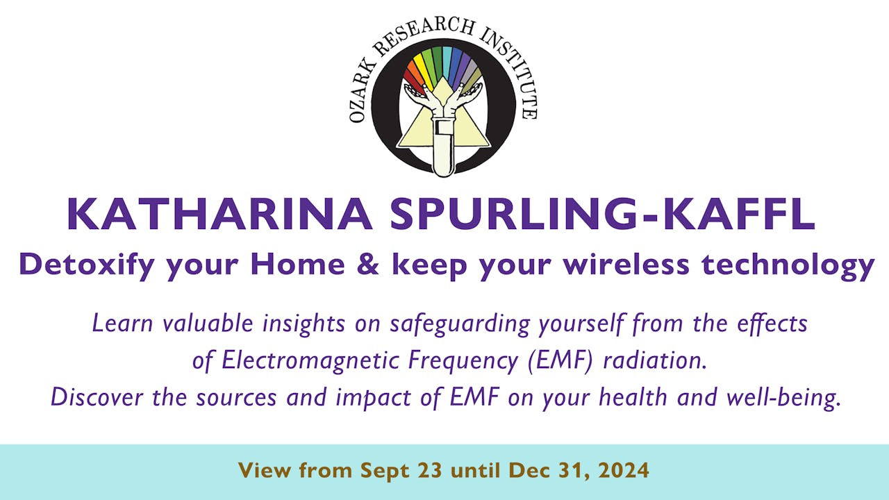 Katharina Spurling-Kaffl   Detoxify your Home-EMFs