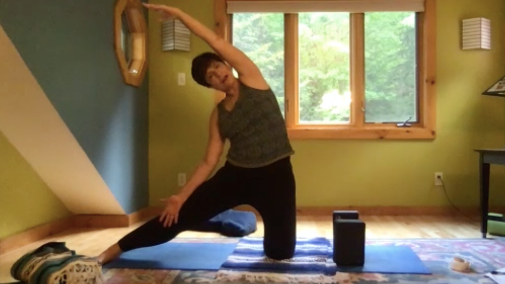 Gentle/Kriplau Style Yoga with Stephanie Petrillo-Gould (6/3/20)