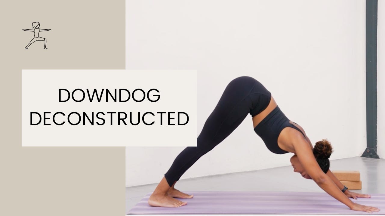 Downward Facing Dog Deconstructed - MYU studios