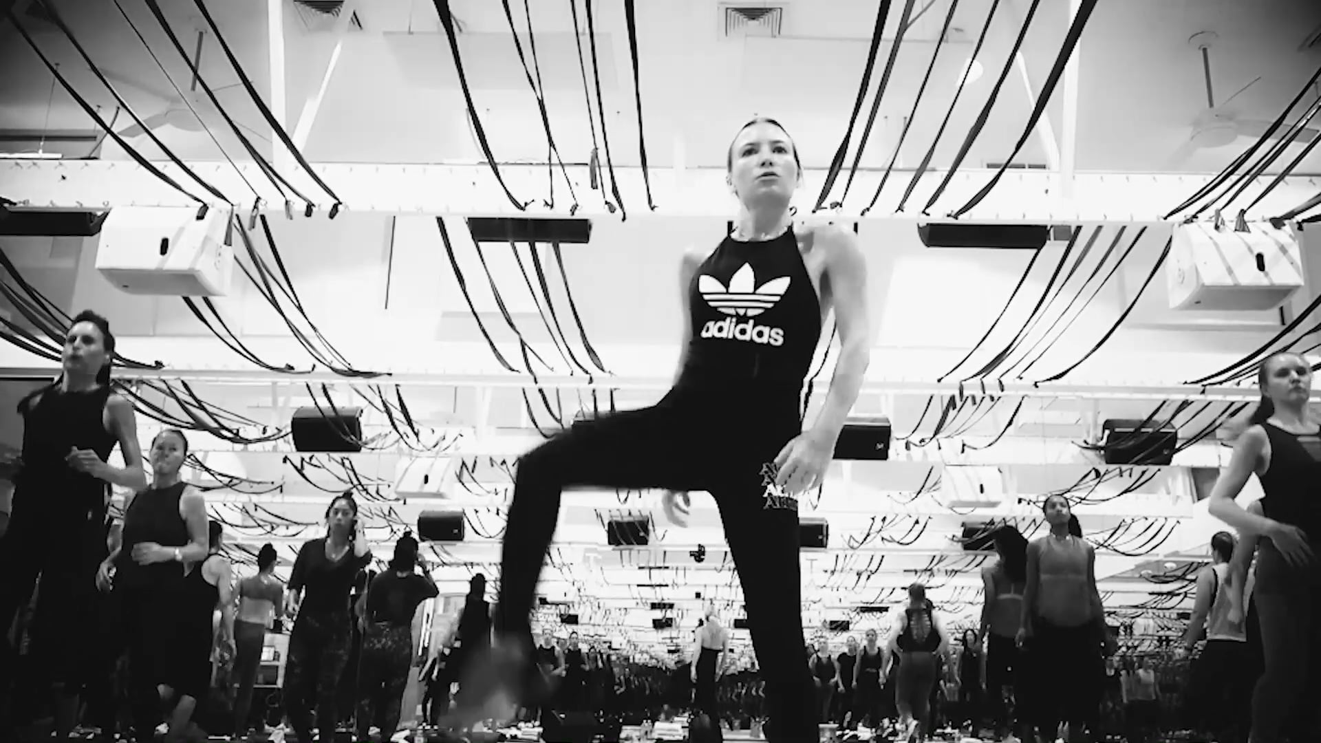 A Welcome Message from Tracy