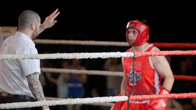 Fight Night