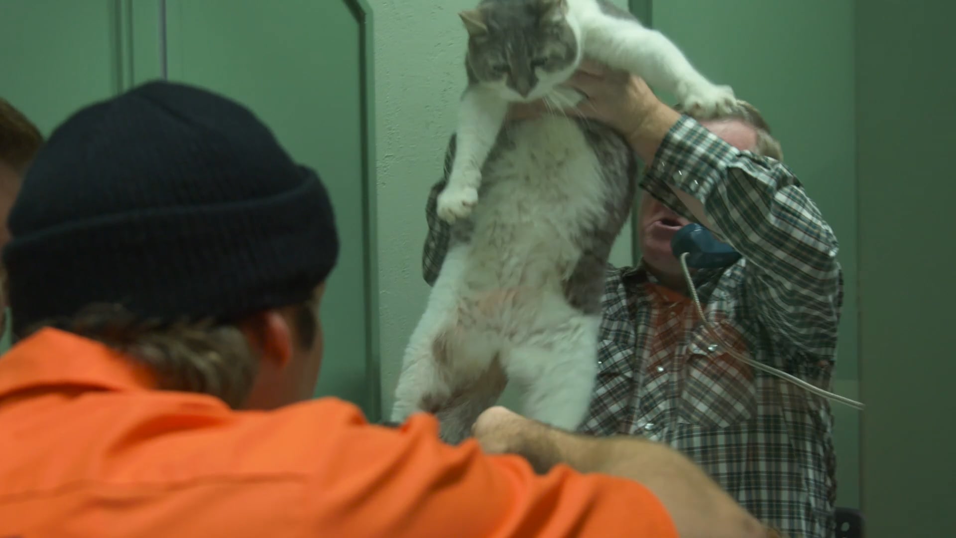 People Are Losing Their Minds