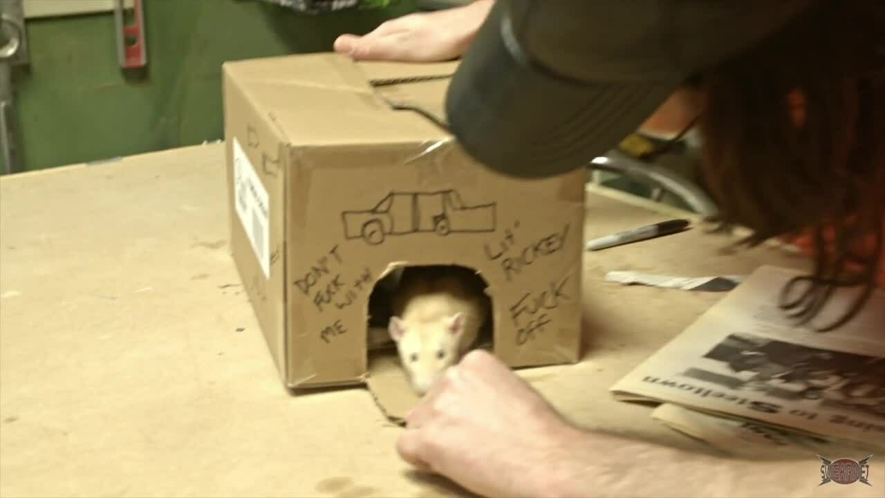 The SwearNet Show: S3E4