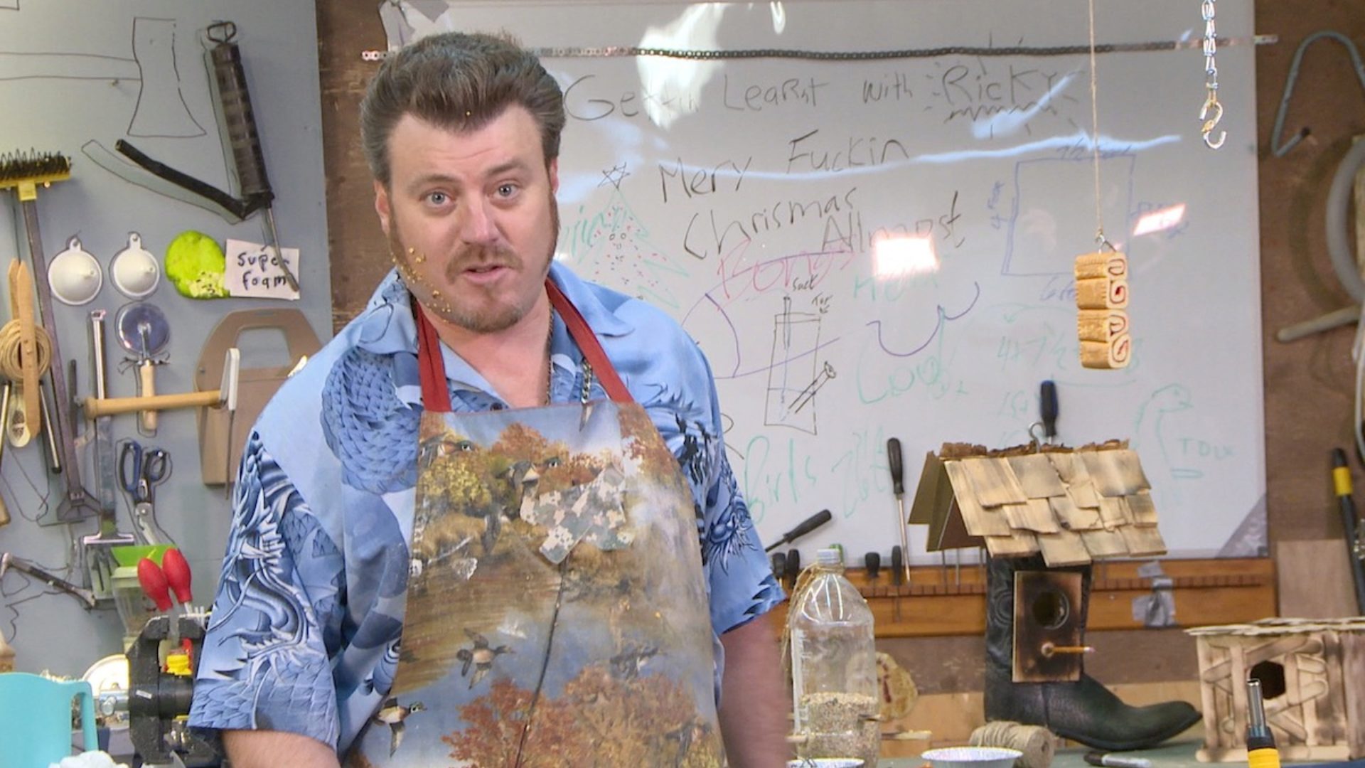 Bird Feedies and Housies