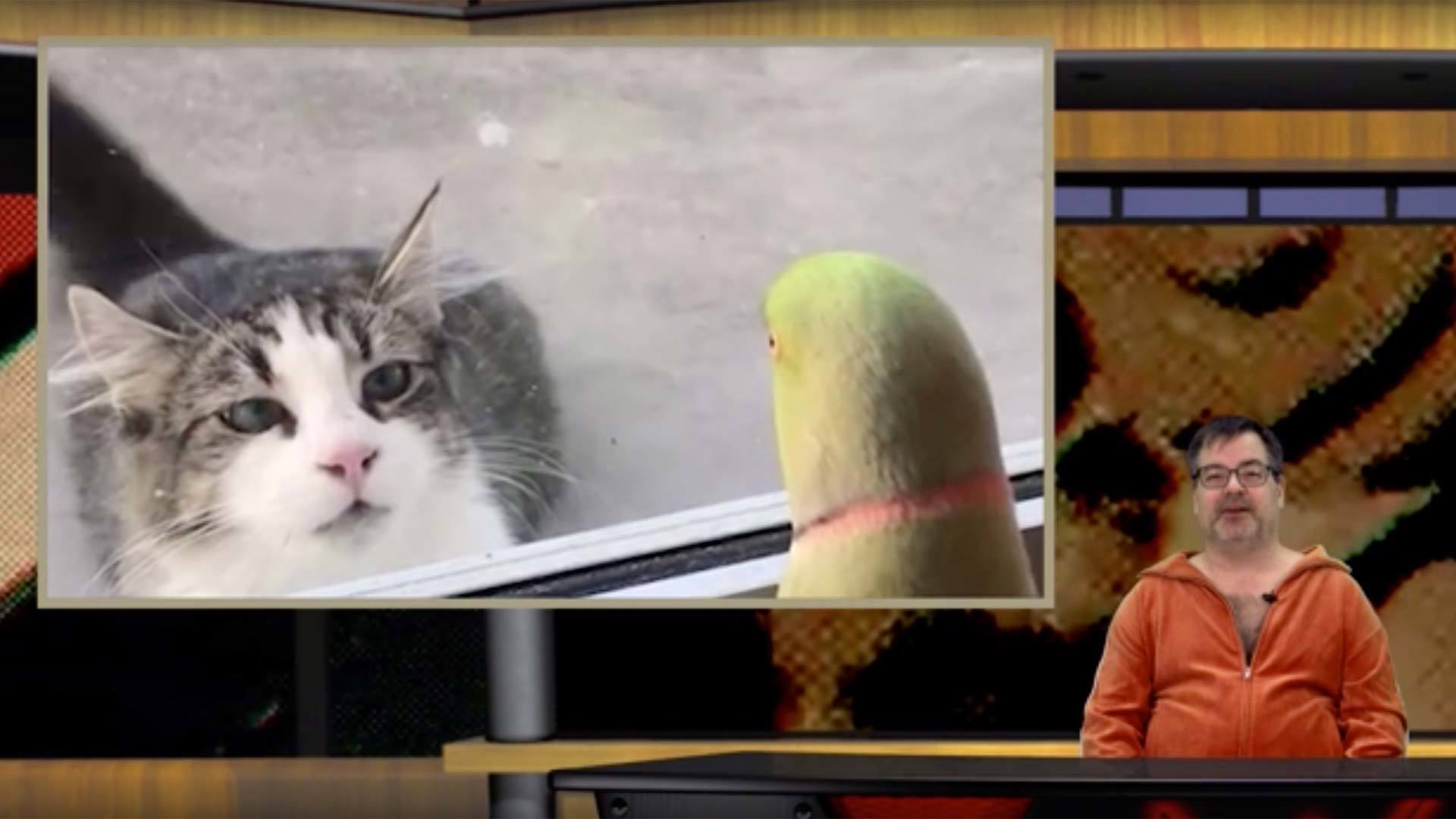 LIVE BROADCAST Feb 11th, 2021