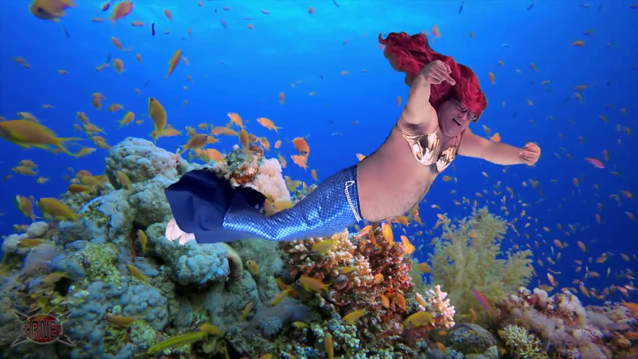 LIVE BROADCAST Nov 17, 2021