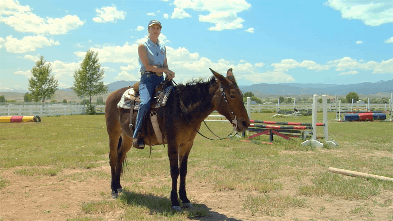 ER: Obstacles Under Saddle