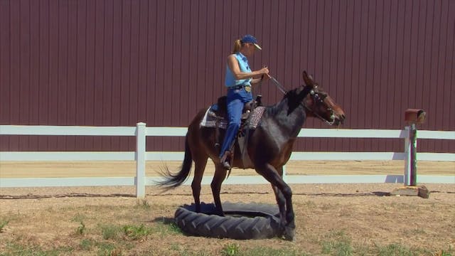 Equus Revisited: Obstacles Under Saddle