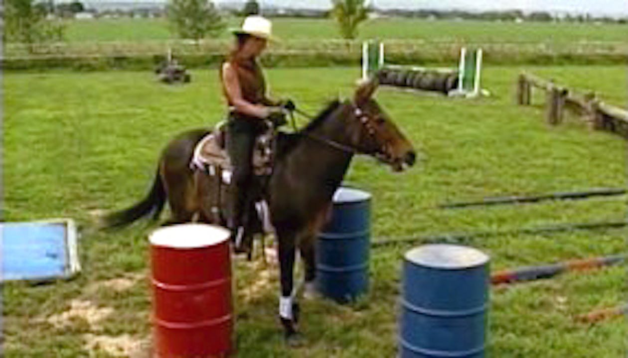 Episode 10 - Intermediate Saddle Training II