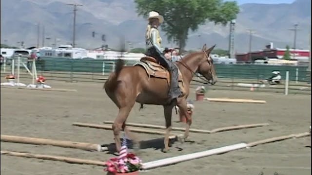 Intermediate Saddle Training 1