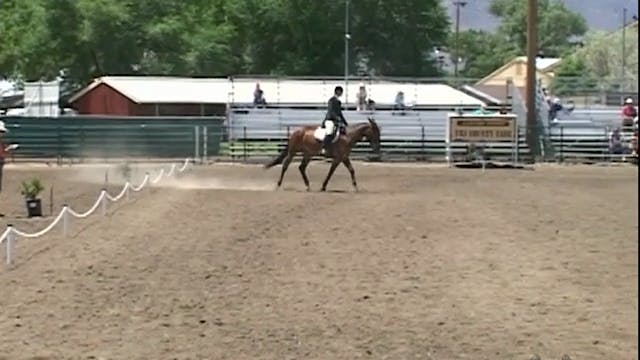 Advanced Saddle Training 1