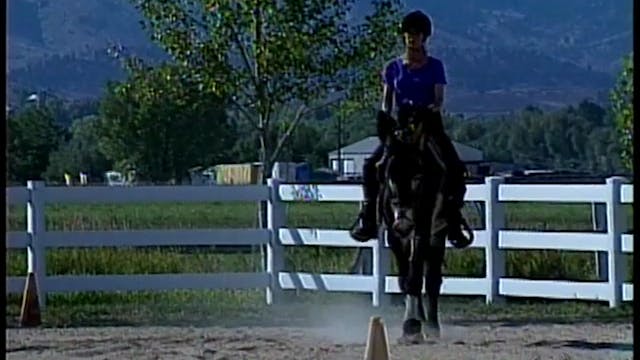 Saddle Training the Donkey, Part 1