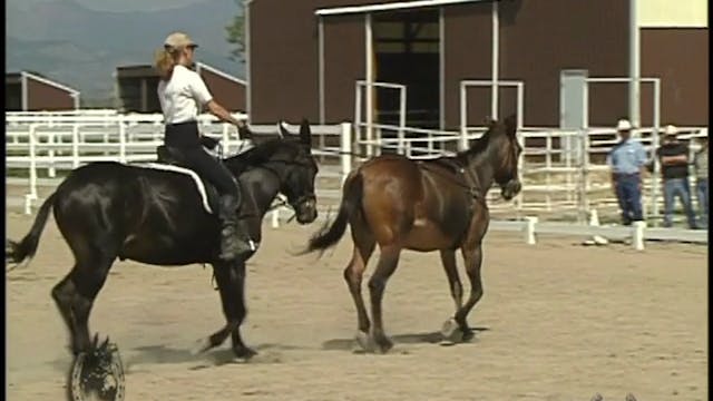 Evaluating Your Equine's Athletic Potential