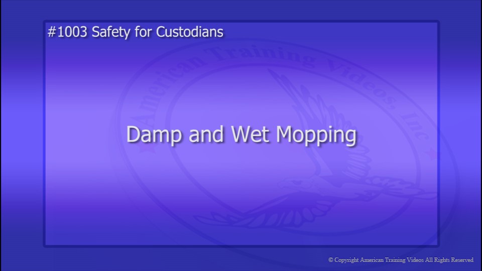 Damp and Wet Mopping