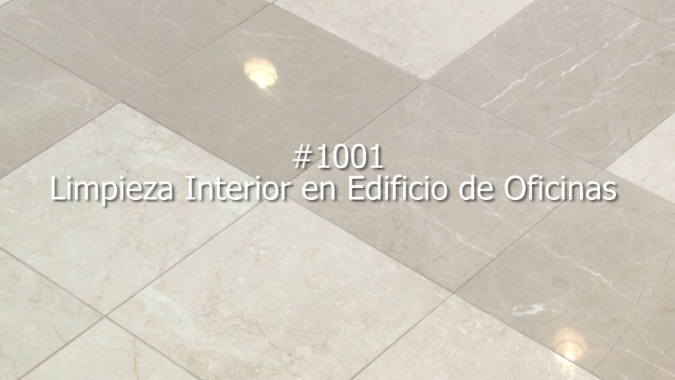 1001 Limpieza de oficinas