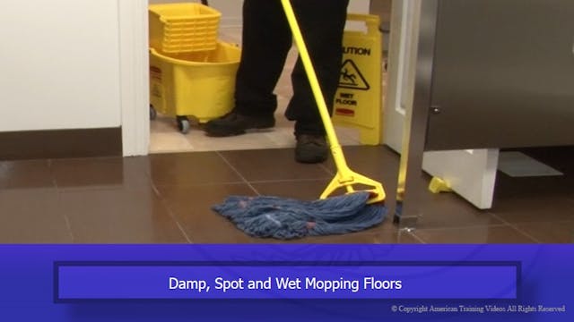 Damp, Spot and Wet Mopping