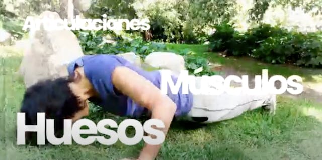 1ºPrim. CCNN. Huesos, músculos y arti...