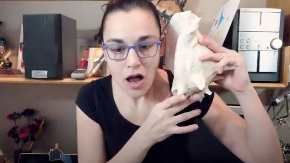 6ºPrim. Lengua. Recursos lingüísticos. Vídeo