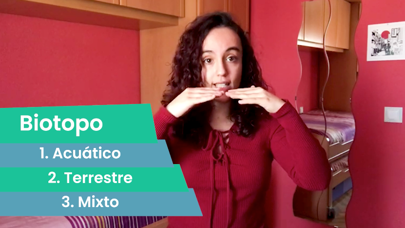 5ºPrim. CCNN. Ecosistemas. Vídeo