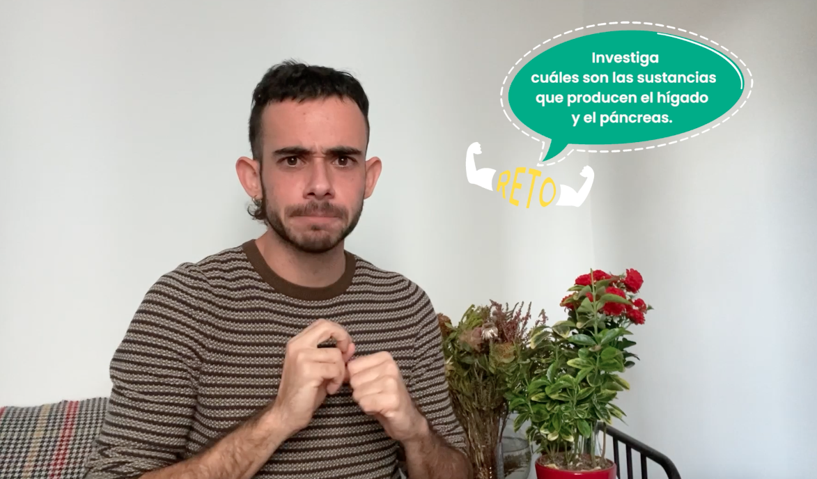 3ºPrim. CCNN. Aparato digestivo. Vídeo