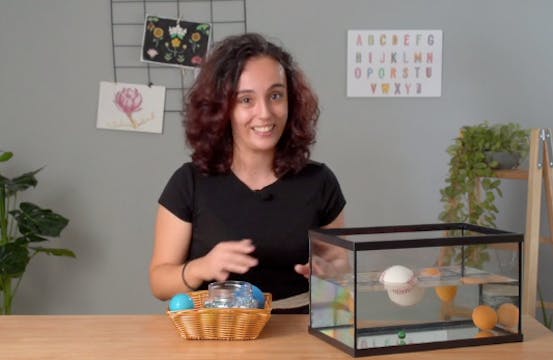 4ºPrim. CCNN. Flotabilidad. Vídeo