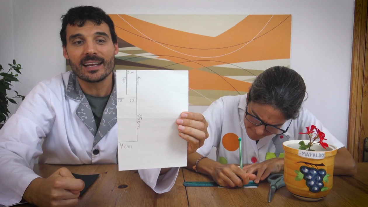 Ciencias naturales de 6 a 12 años