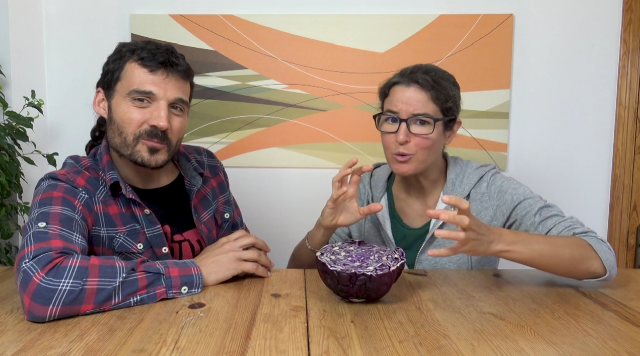 Ciencias naturales de 14 a 16 años