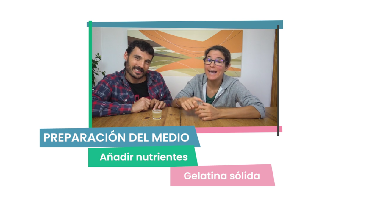 Ciencias naturales de 12 a 14 años