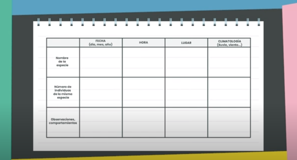 3ºPrim. CCNN. Cuaderno de campo. Vídeo