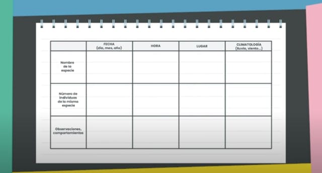 3ºPrim. CCNN. Cuaderno de campo. Vídeo