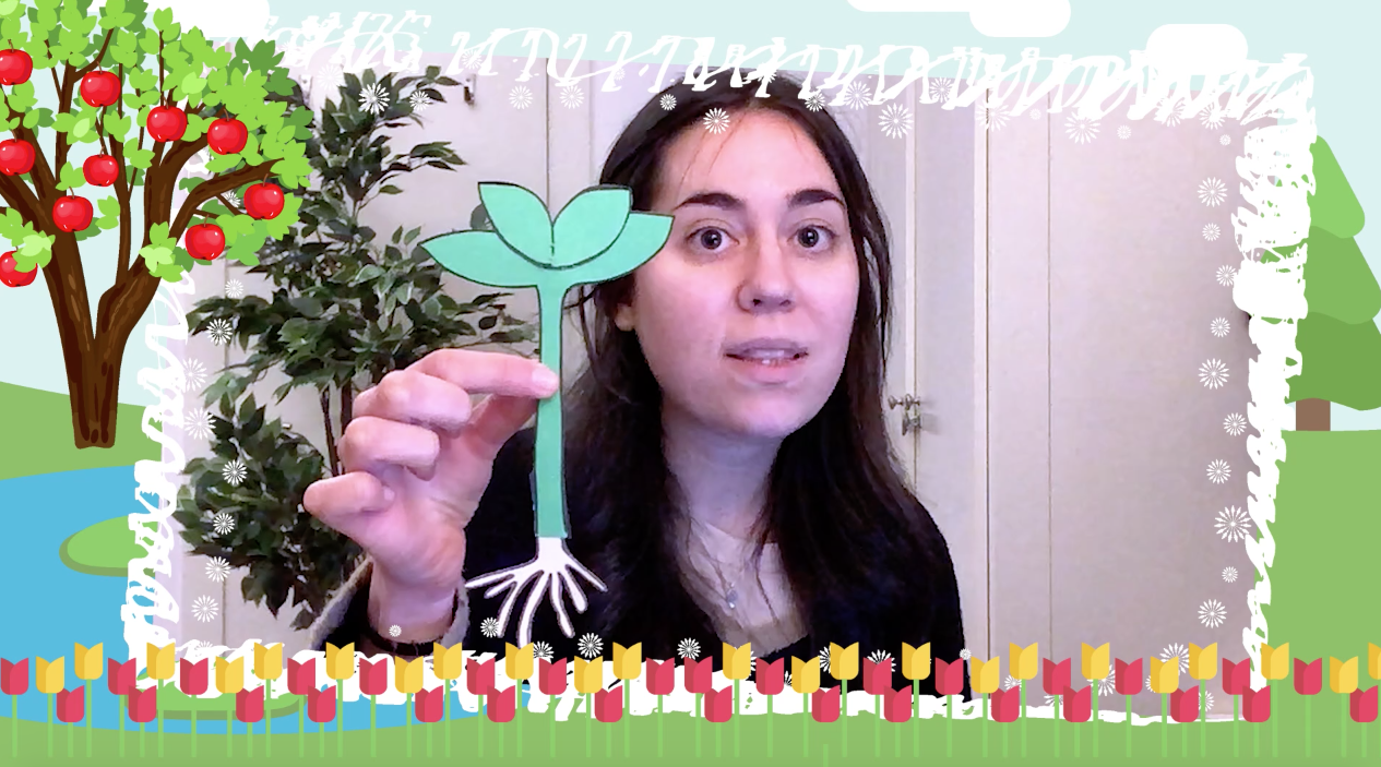 2ºPrim. CCNN. Reproducción plantas. Vídeo