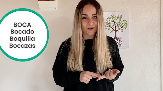 6ºPrim. Lengua. Palabras derivadas. V...