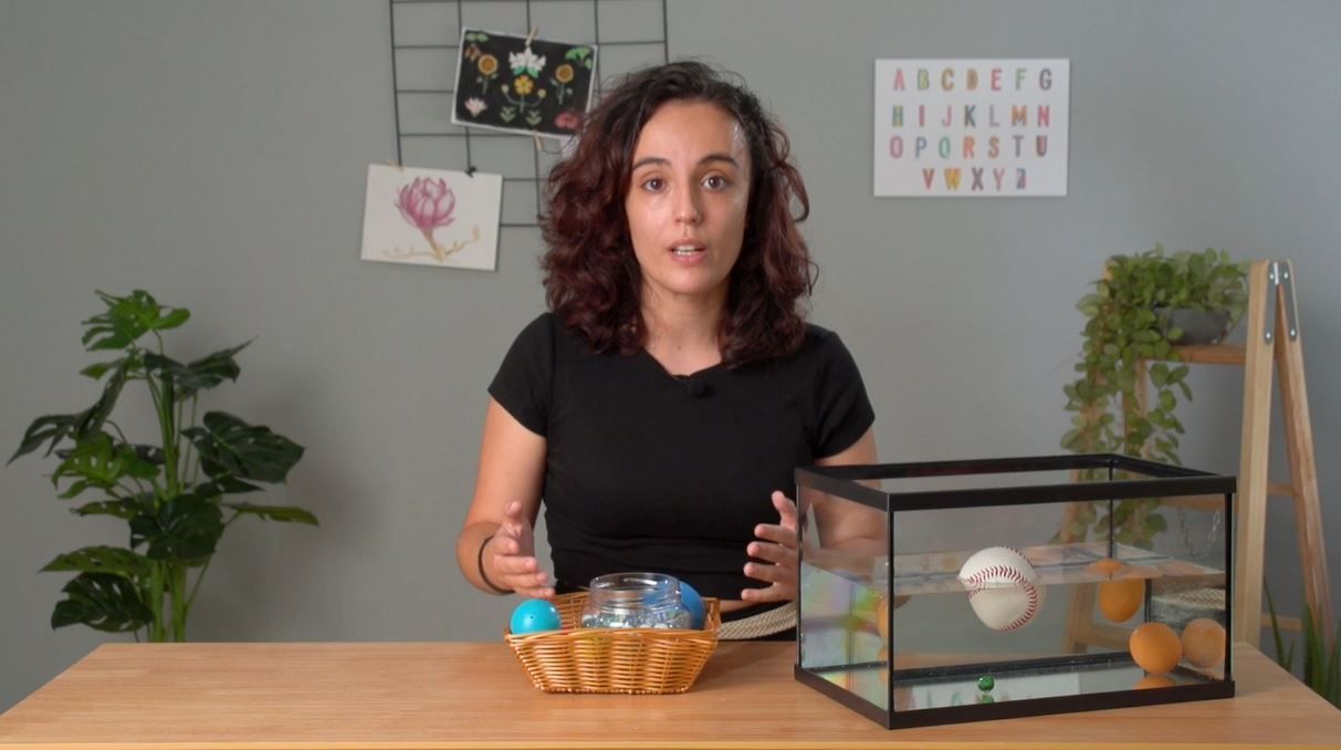 4-йПрим. CCNN. Плавучість. Відео