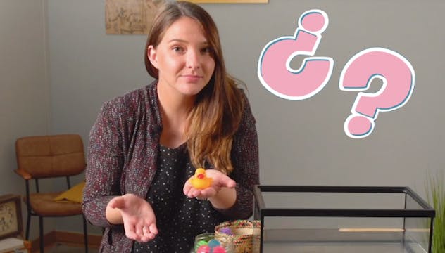 3º y 4ºPrim. CCNN. Experimento de flo...