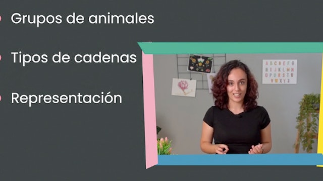 5ºPrim.CCNN. Cadena alimentaria. Vídeo