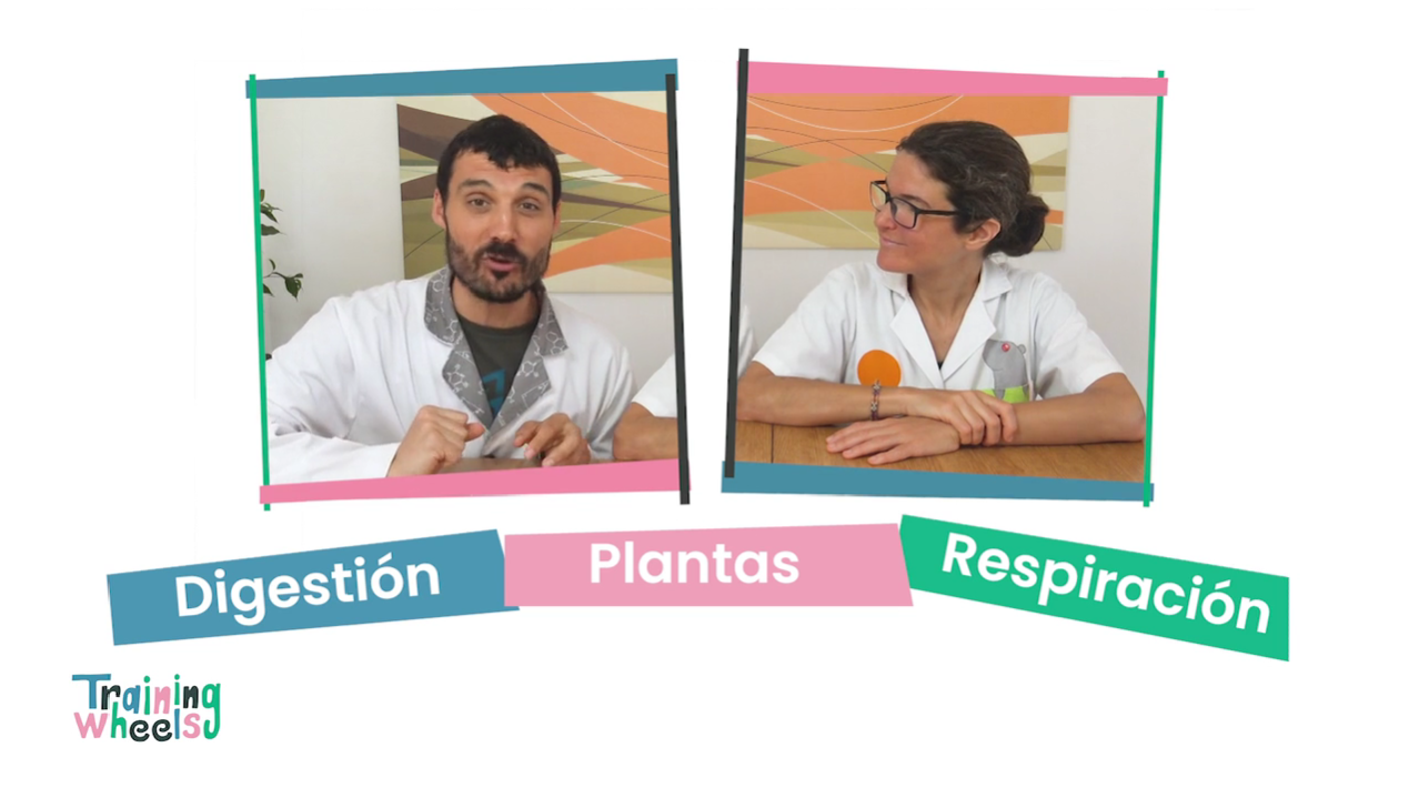 Ciencias naturales de 10 a 12 años