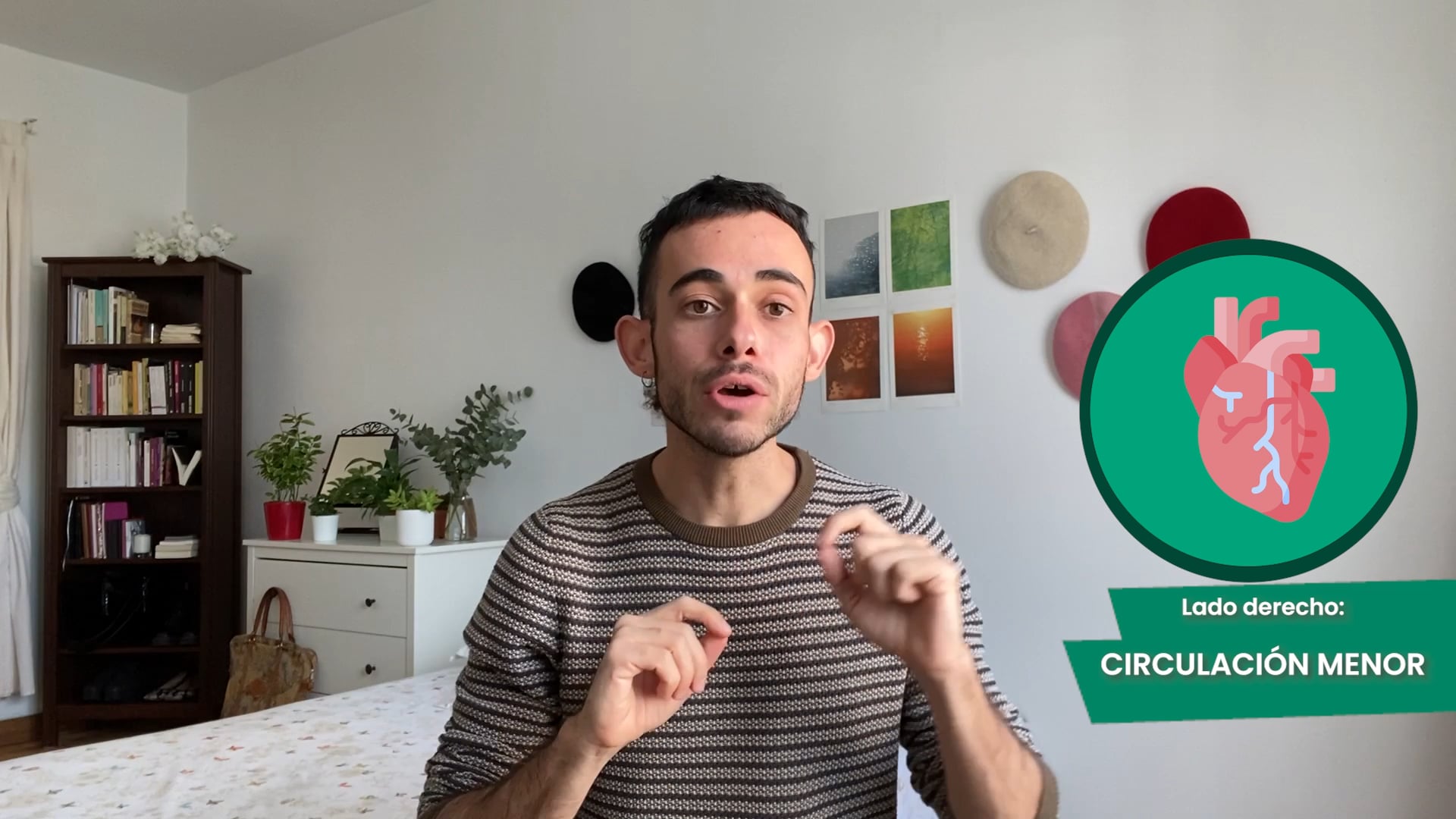 4ºPrim. CCNN. Aparato circulatorio. Vídeo