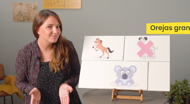 1ºPrim. Lengua. Describir imágenes. Vídeo