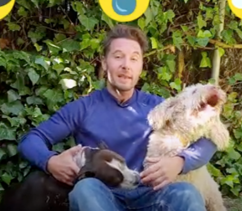 2ºPrim. CCSS. Cadena alimenticia. Vídeo