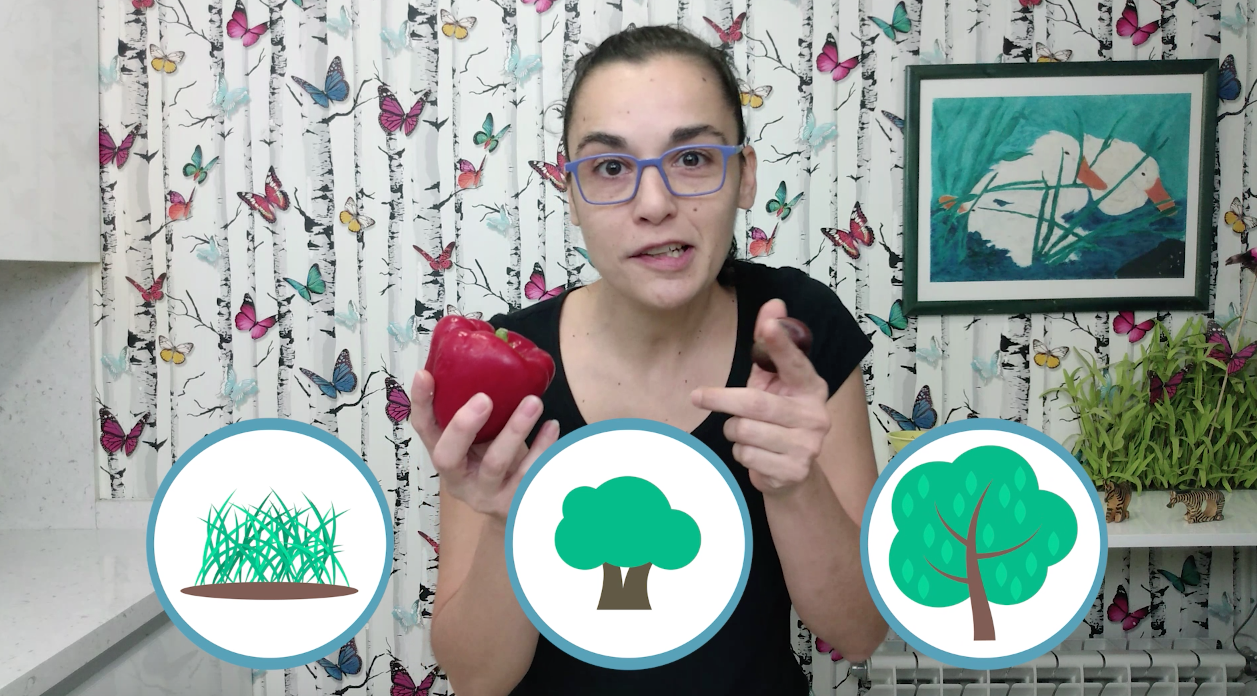 1ºPrim. CCNN. Hierbas, arbustos y árboles. Vídeo