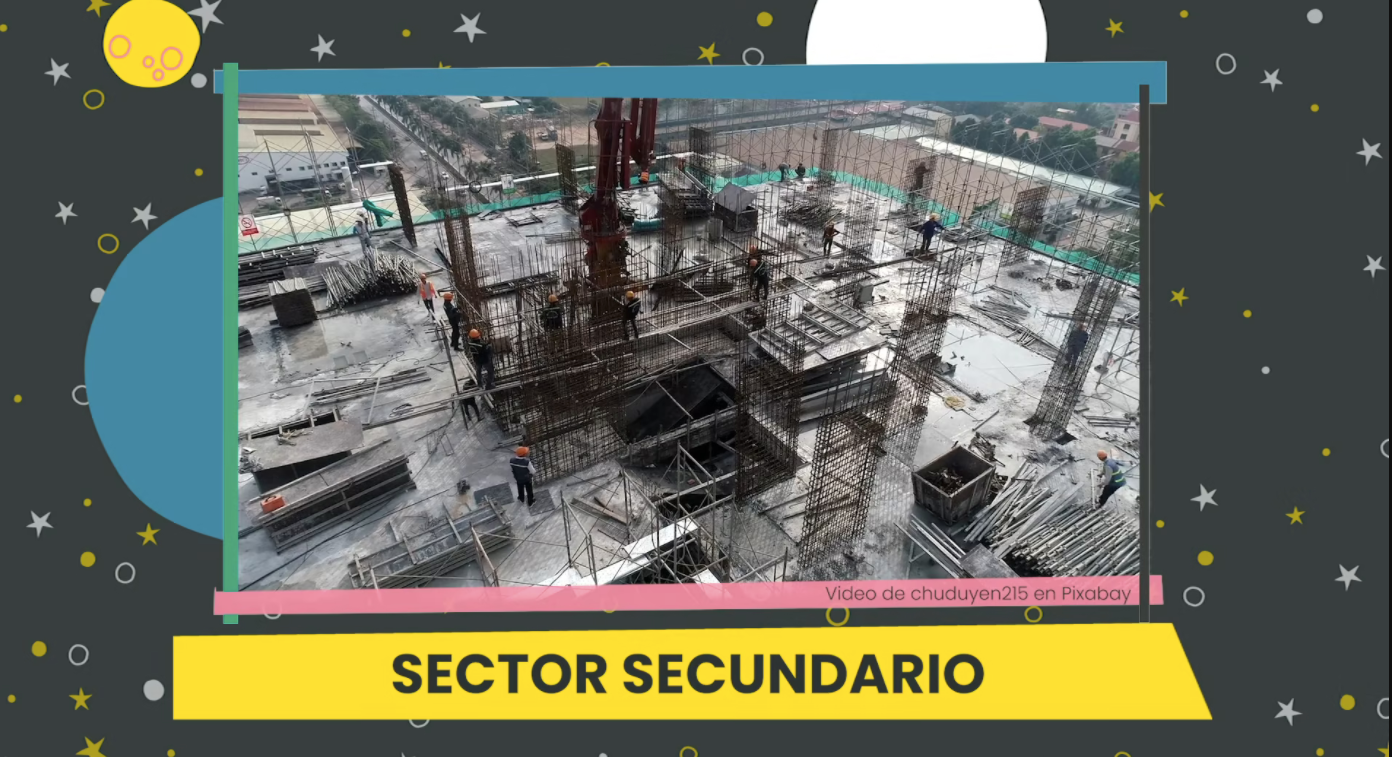 5ºPrim. CCSS. Producto y sector
