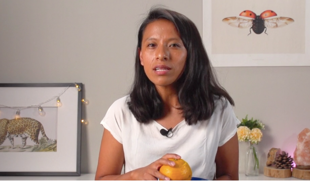 3ºPrim.CCSS. Paralelos y meridianos. Vídeo