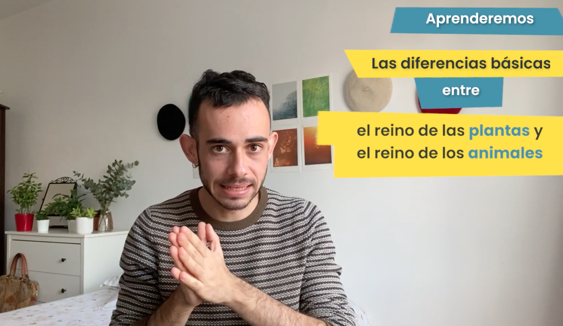3ºPrim. CCNN. Guía plantas y animales. Video