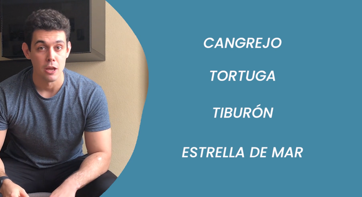 Educación física de 6 a 8 años