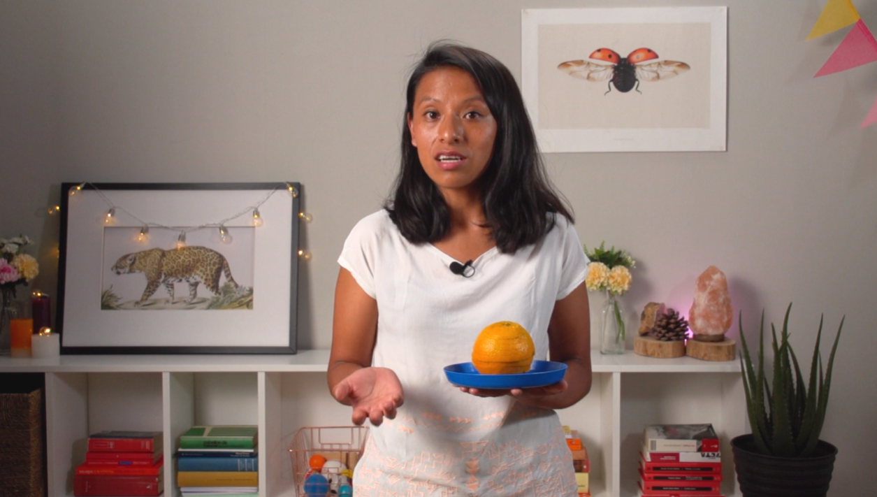 3ºPrim.CCSS. Паралелі та меридіани. Відео