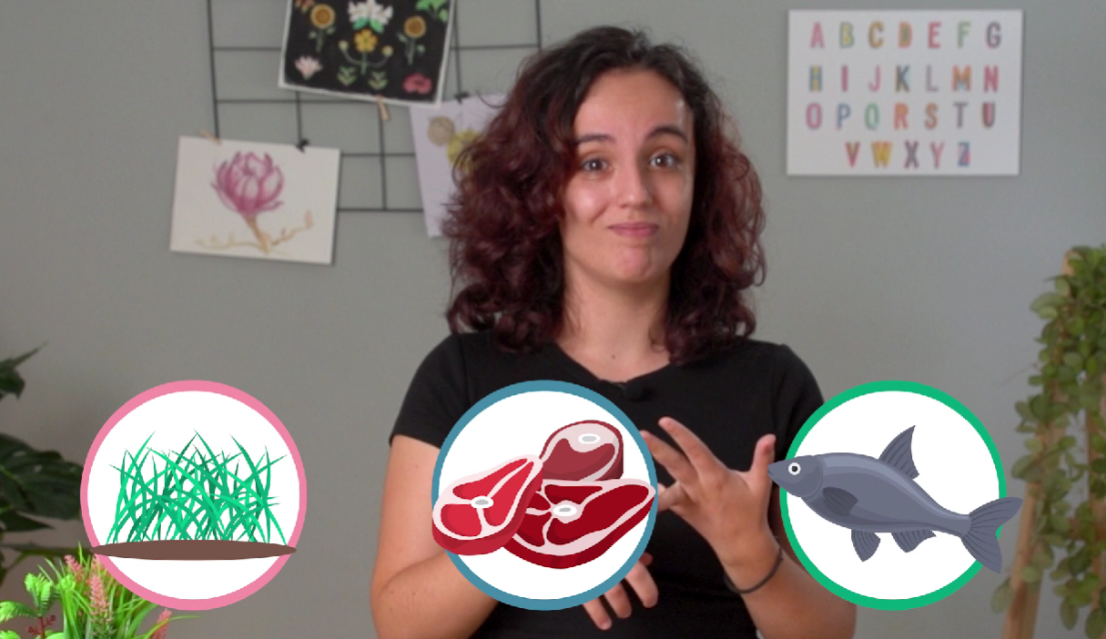 5ºPrim.CCNN. Харчовий ланцюг. Відео