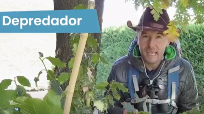 2ºPrim. CCSS. Clasificación de animales según su alimentación