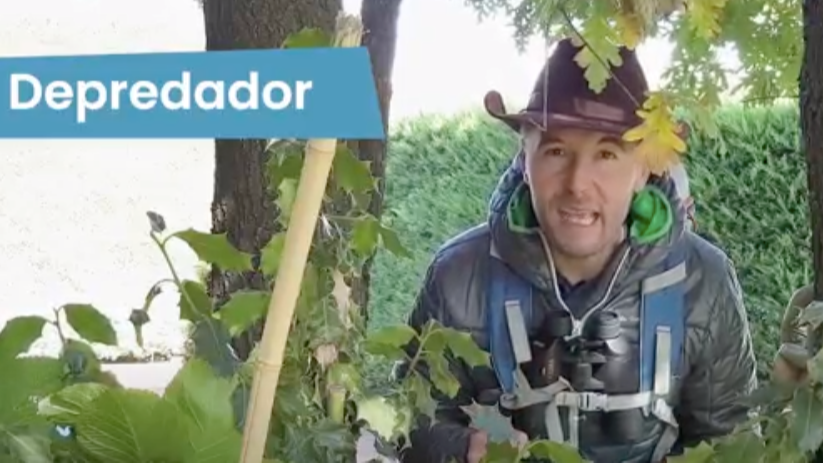 2ºPrim. CCSS. Clasificación de animales según su alimentación. Vídeo