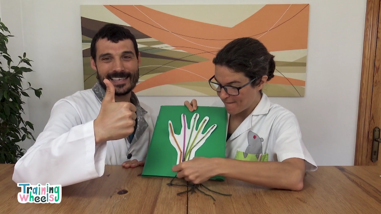 Ciencias naturales de 8 a 10 años