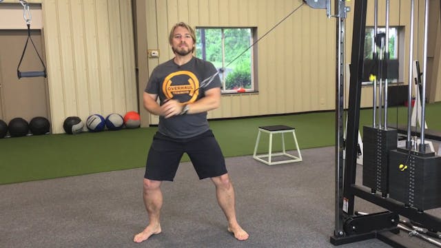 Standing Cable Chop